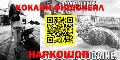 спиды Новодвинск