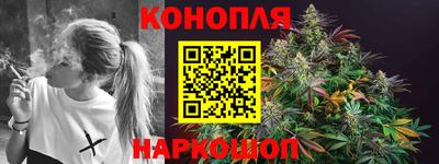 стафф Новозыбков
