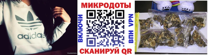 OMG онион Геленджик маркетплейс как зайти Галлюциногенные грибы ЛСД