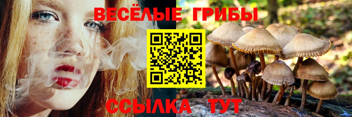 Псилоцибиновые грибы ЛСД Геленджик